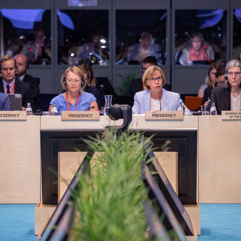 48320748311_dc2a7a1515_o 2