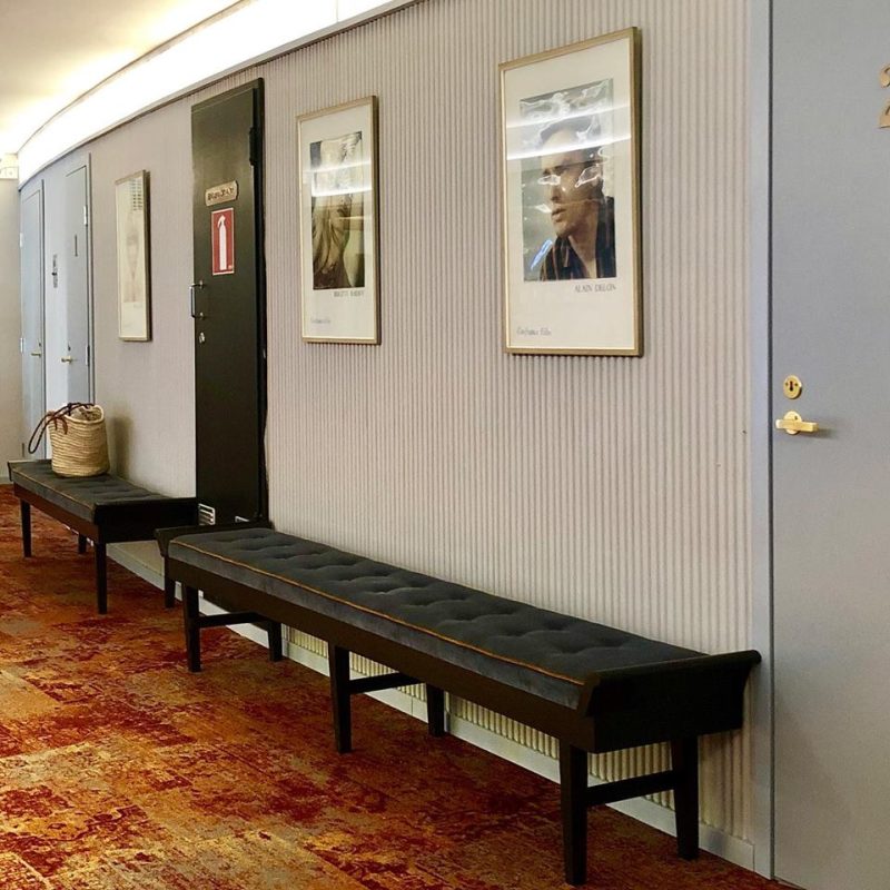 51349554_2428663250540465_2123403583142494208_n