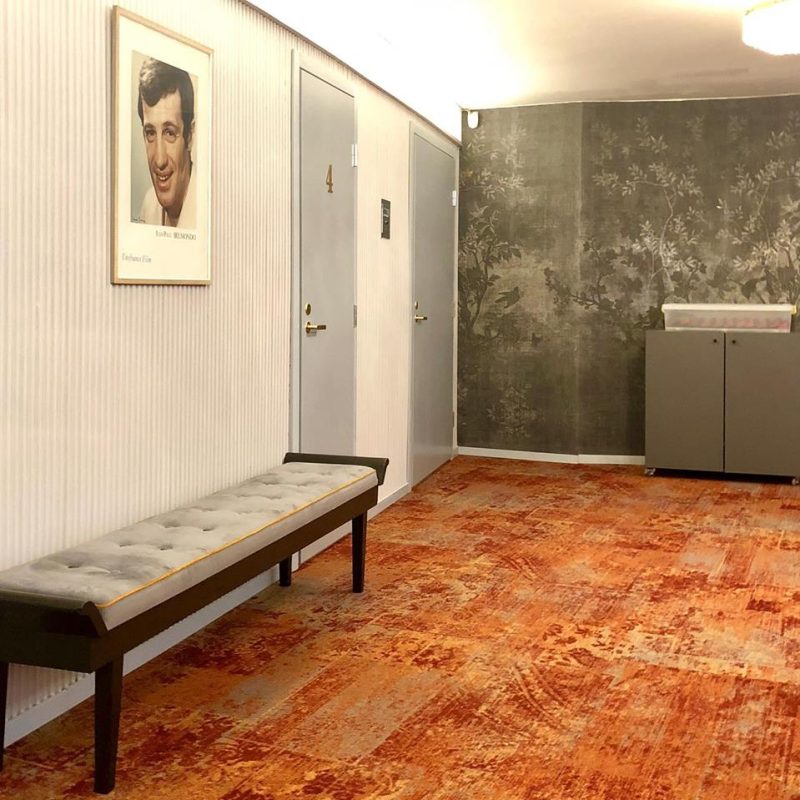 51646024_2428663047207152_8982190652313829376_n