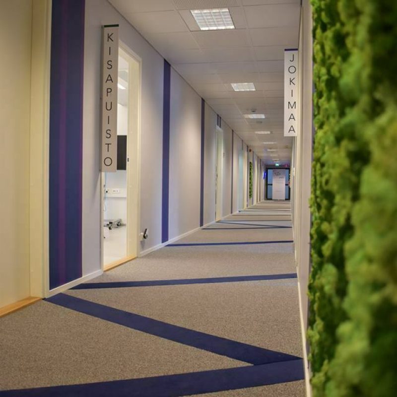 55453634_2069212999793798_6957937170883543040_n