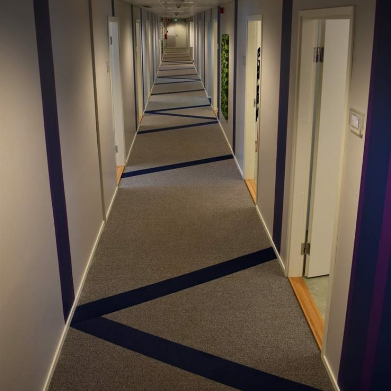 56472444_2069217789793319_4388894227854000128_n