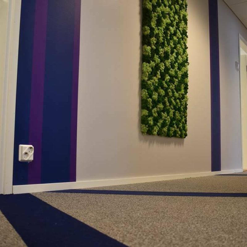 56622545_2069215799793518_8746510021367431168_n