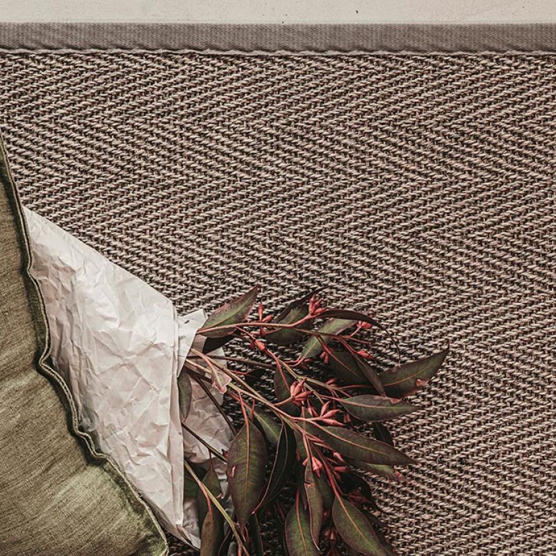 Barrakuda-natur-detalj-pien