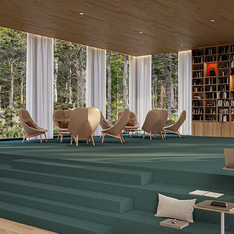 C003_COIN_017_JP pien