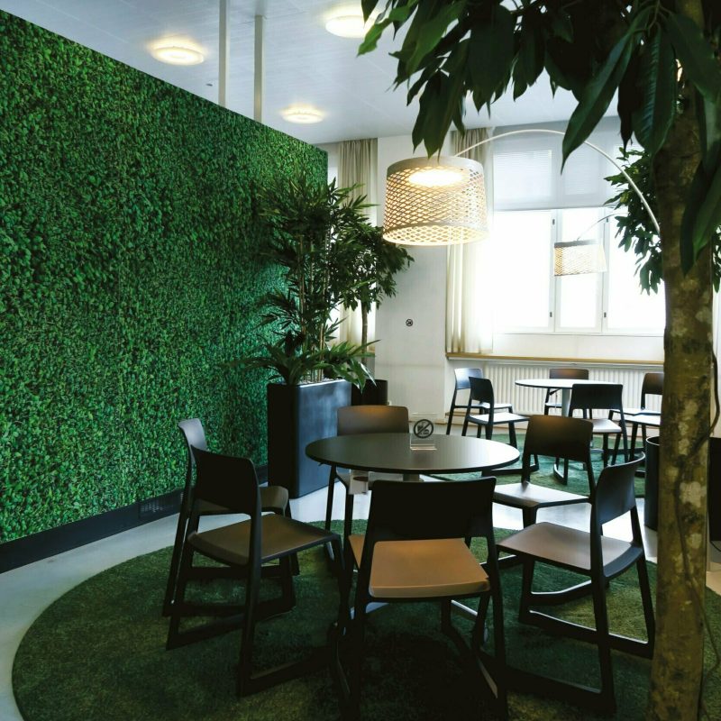 Hanken-Tessa-kuva-Riitta-von-Martens-2