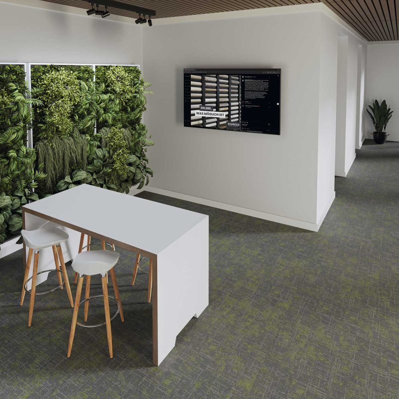 IN-GI-•-CYCLE-COLOURS---Cross-MO-450