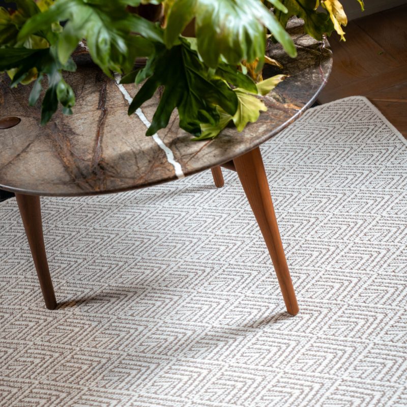 Maxima White-brown(1)