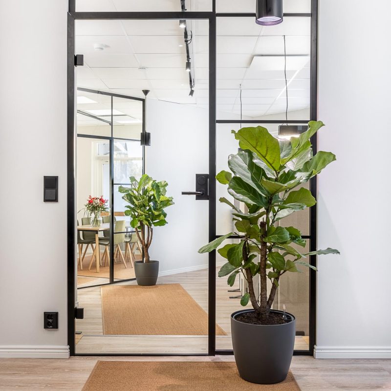 Sisal-MinsQ-Interior-Design