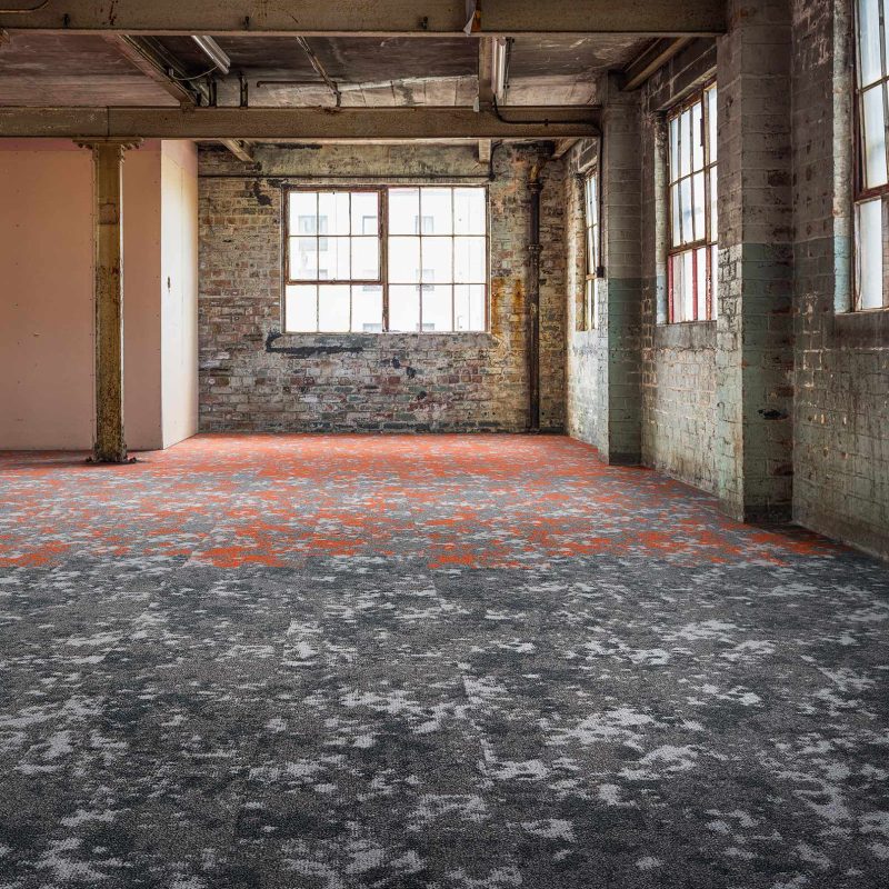 THE-CREATE_Medium928-Small212-Large211_HQ