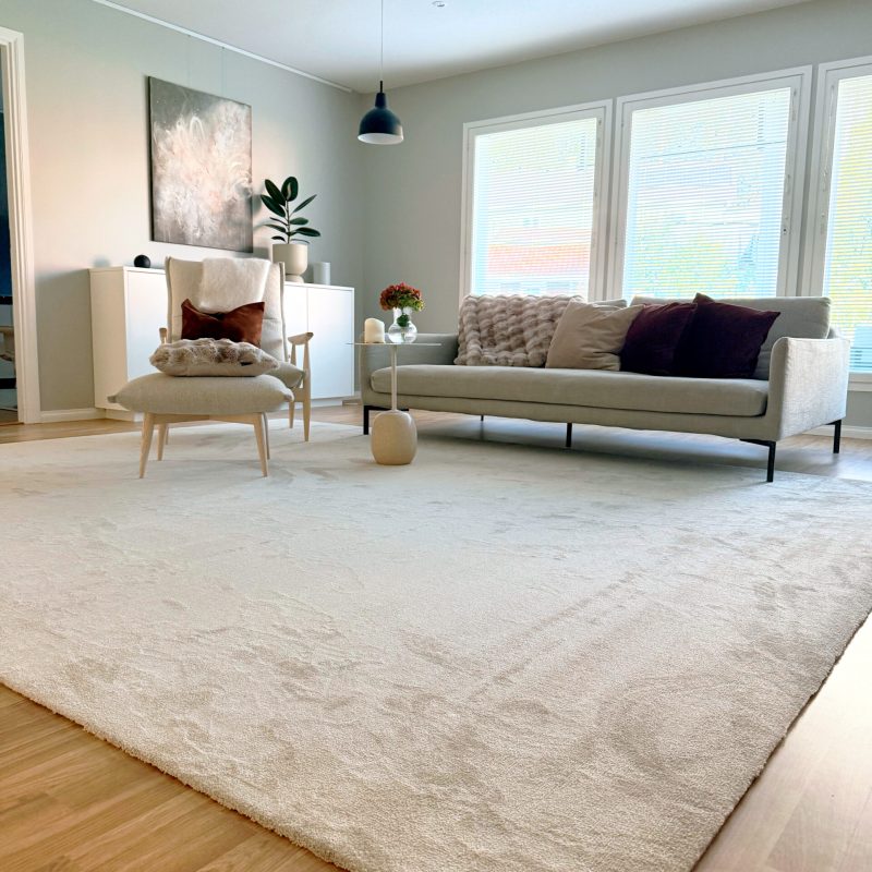 Yksityiskoti Turussa, Sametti1