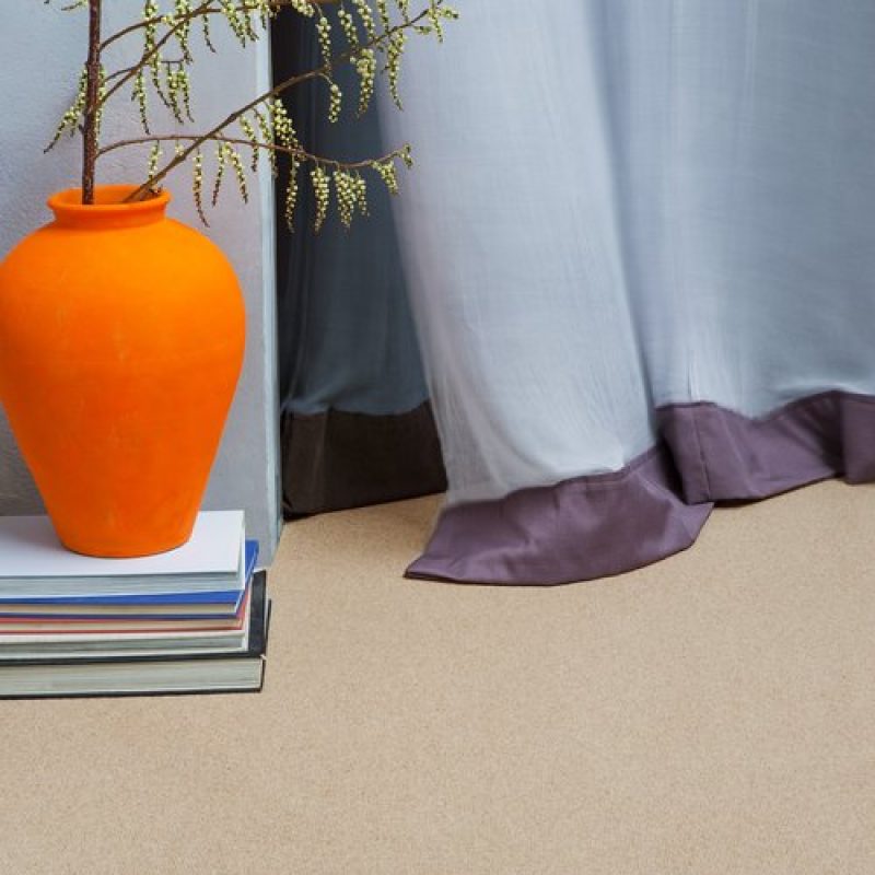 edel-telenzocentre-pointcameo