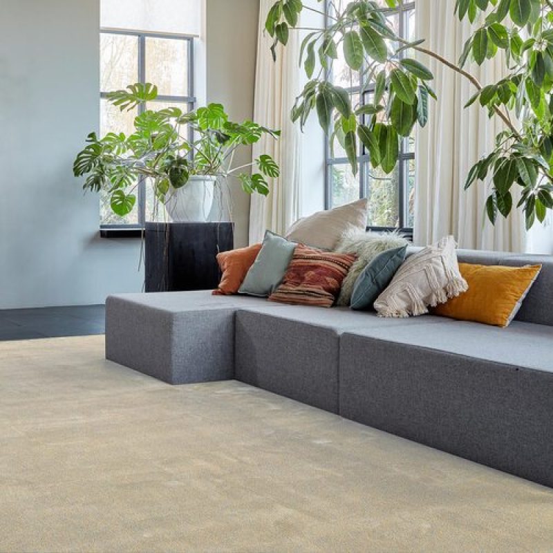 switch-sugar-horizontal